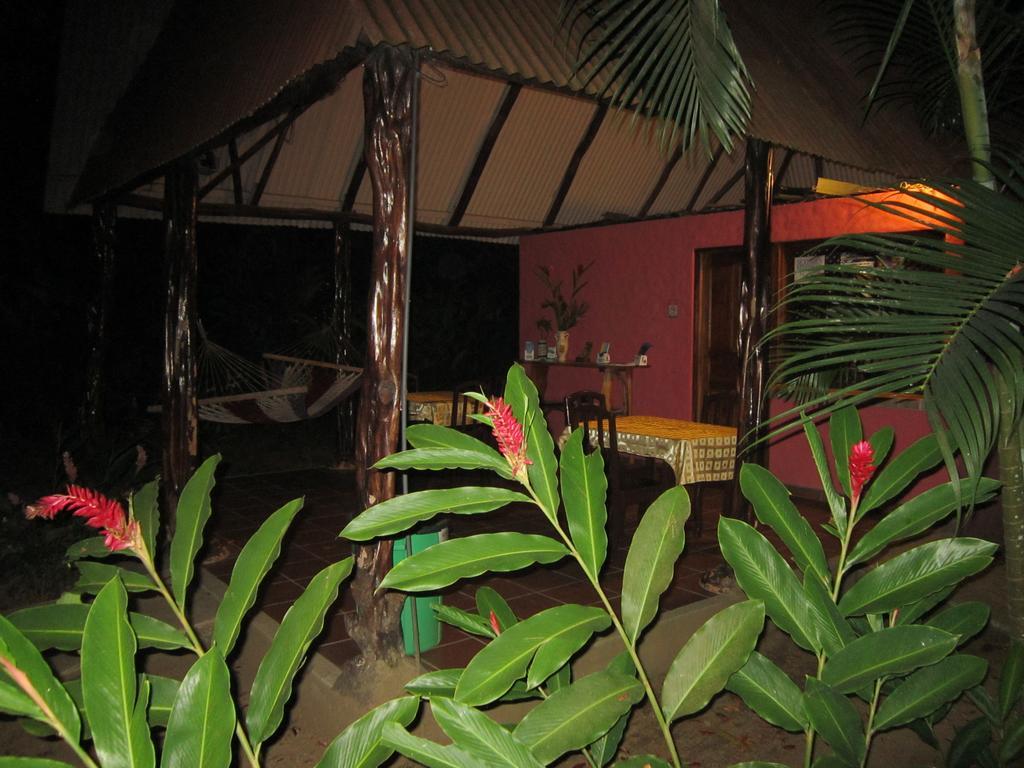 Hotel El Paraiso Escondido - Costa Rica جاكو المظهر الخارجي الصورة