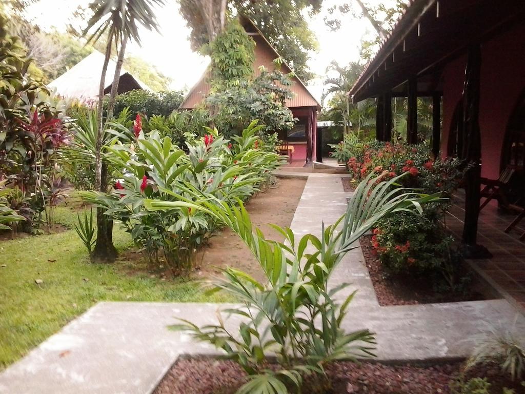 Hotel El Paraiso Escondido - Costa Rica جاكو المظهر الخارجي الصورة