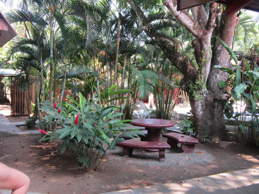 Hotel El Paraiso Escondido - Costa Rica جاكو المظهر الخارجي الصورة