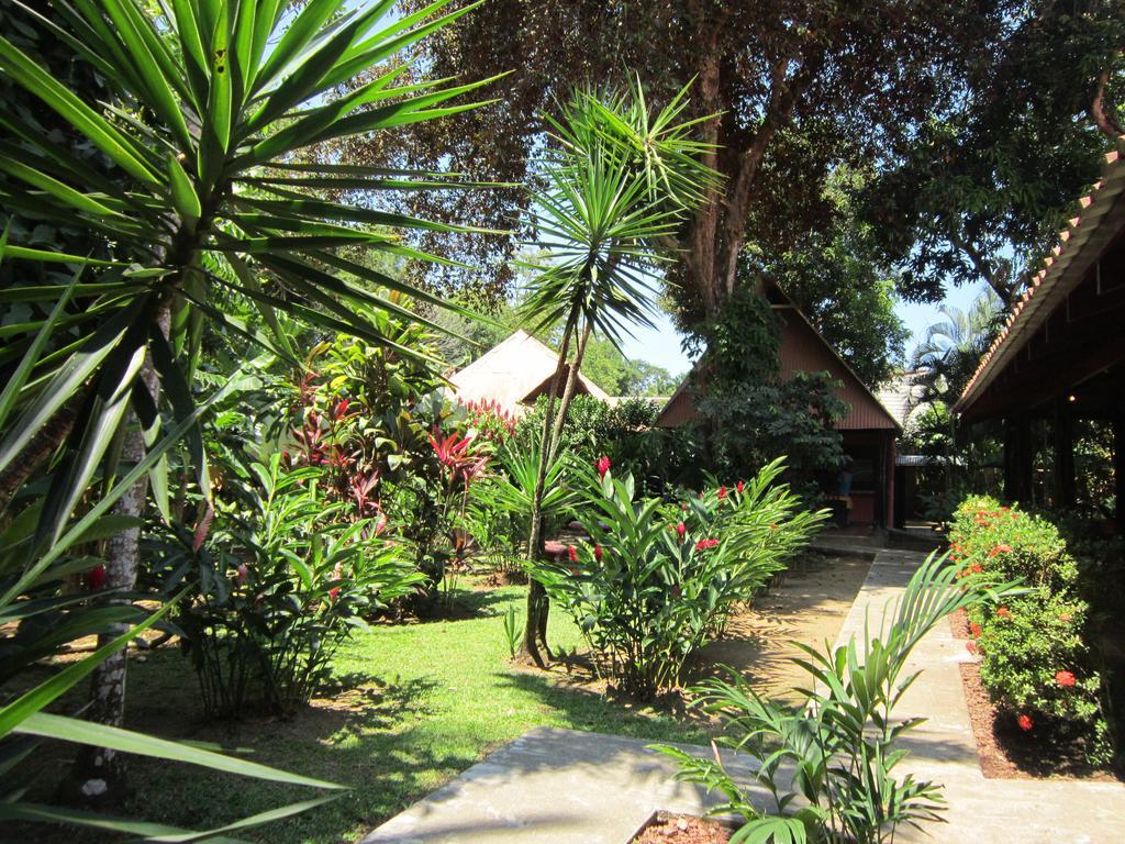 Hotel El Paraiso Escondido - Costa Rica جاكو الغرفة الصورة