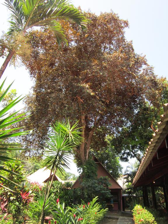 Hotel El Paraiso Escondido - Costa Rica جاكو الغرفة الصورة