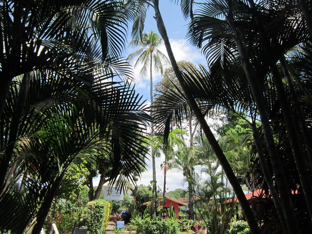 Hotel El Paraiso Escondido - Costa Rica جاكو المظهر الخارجي الصورة