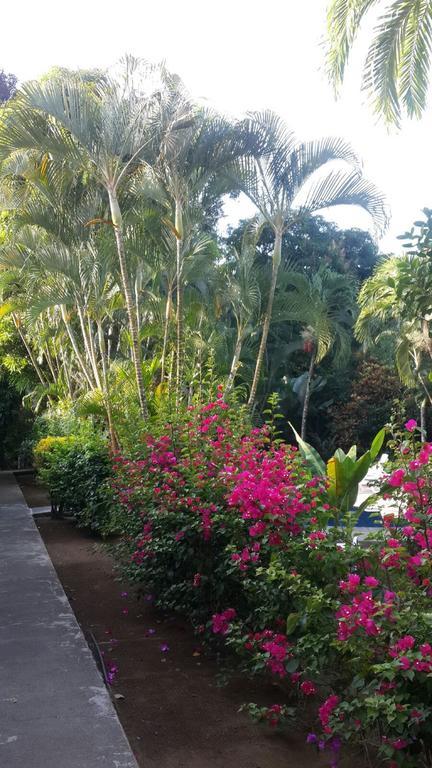 Hotel El Paraiso Escondido - Costa Rica جاكو المظهر الخارجي الصورة