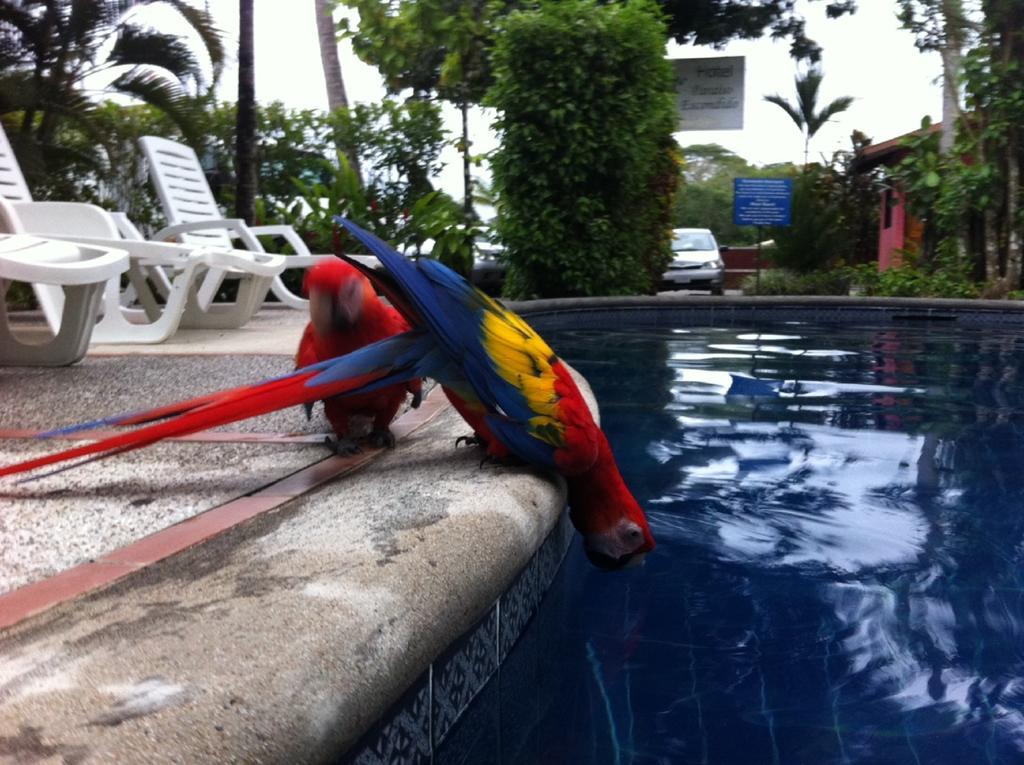 Hotel El Paraiso Escondido - Costa Rica جاكو المظهر الخارجي الصورة