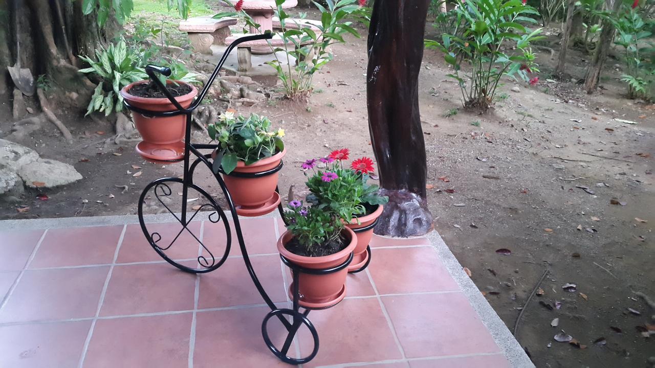 Hotel El Paraiso Escondido - Costa Rica جاكو المظهر الخارجي الصورة